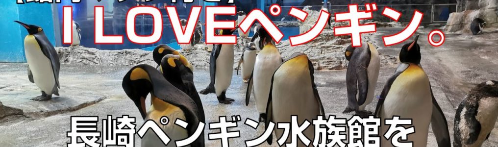 I LOVEペンギン。長崎ペンギン水族館を120％遊び倒せtop見出し