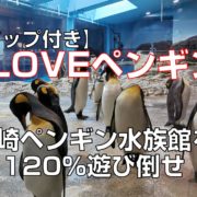 I LOVEペンギン。長崎ペンギン水族館を120％遊び倒せtop見出し