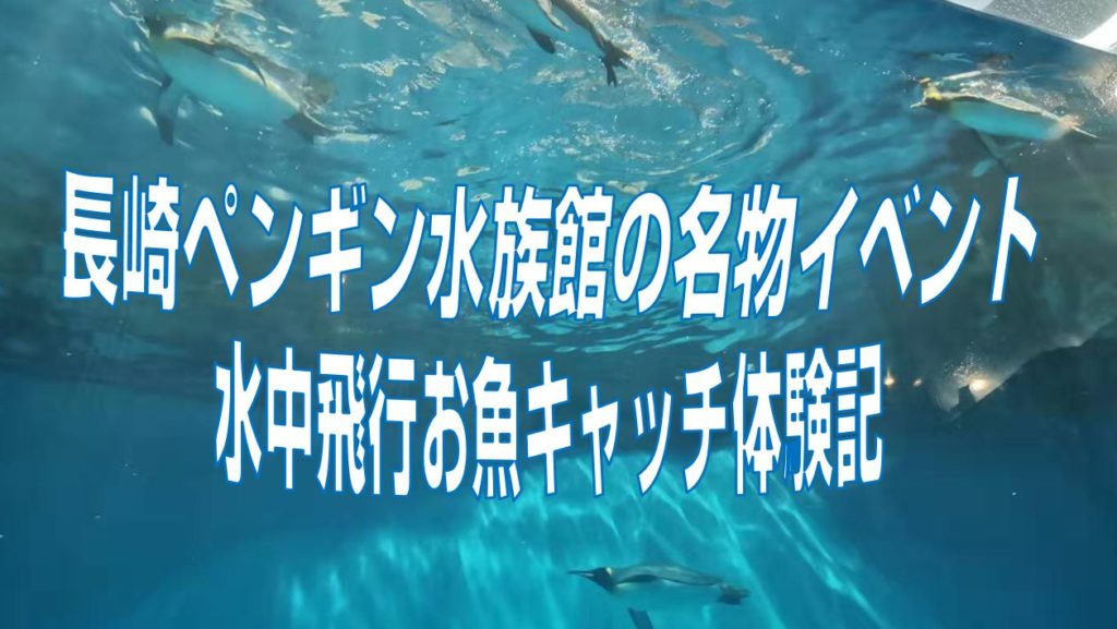 長崎ペンギン水族館の名物イベント。水中飛行お魚キャッチ体験記