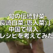 旬の伝統野菜「長崎白菜(唐人菜)」を中国で購入。レシピを考えてみた見出し