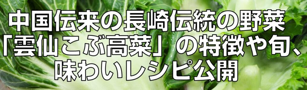 旬の長崎伝統野菜「雲仙こぶ高菜」を中国で購入してレシピ考えてみた見出し