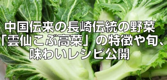 旬の長崎伝統野菜「雲仙こぶ高菜」を中国で購入してレシピ考えてみた見出し